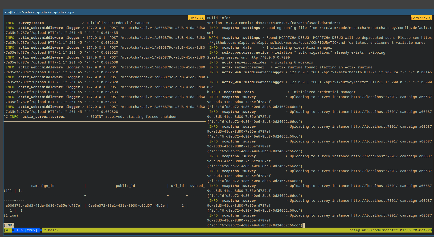 A screenshot of a tmux window with logs of mCaptcha/mCaptcha and mCapctha/survey showing both of them talking to eachother